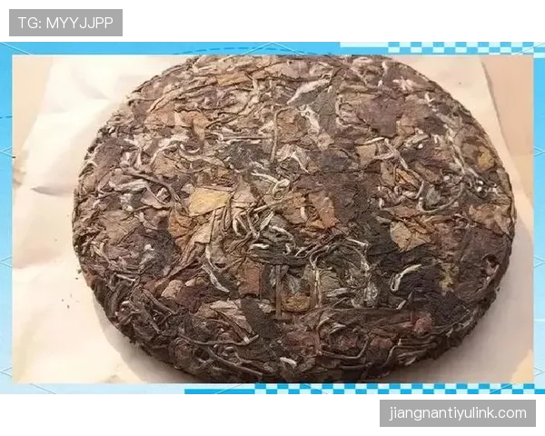 运球规则如何理解及判罚标准与常见误区解析